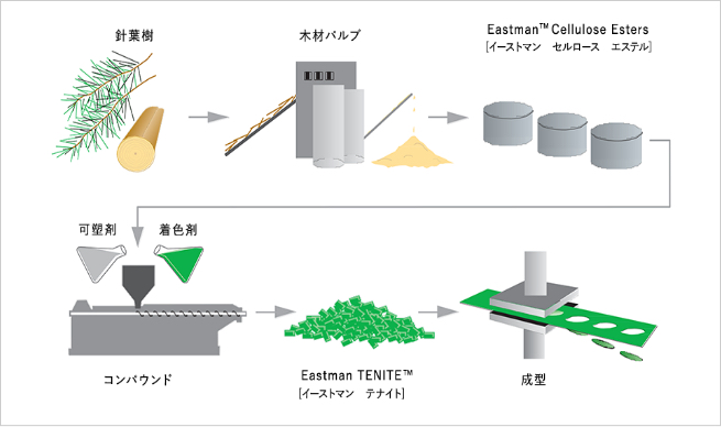 TENITE™製造プロセス