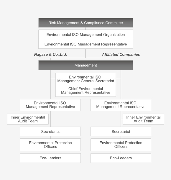 Environmental Management Structure
