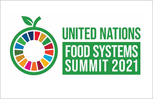 国連食料システムサミット
