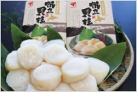＜カネマ浜屋商店＞　特大ホタテ貝柱