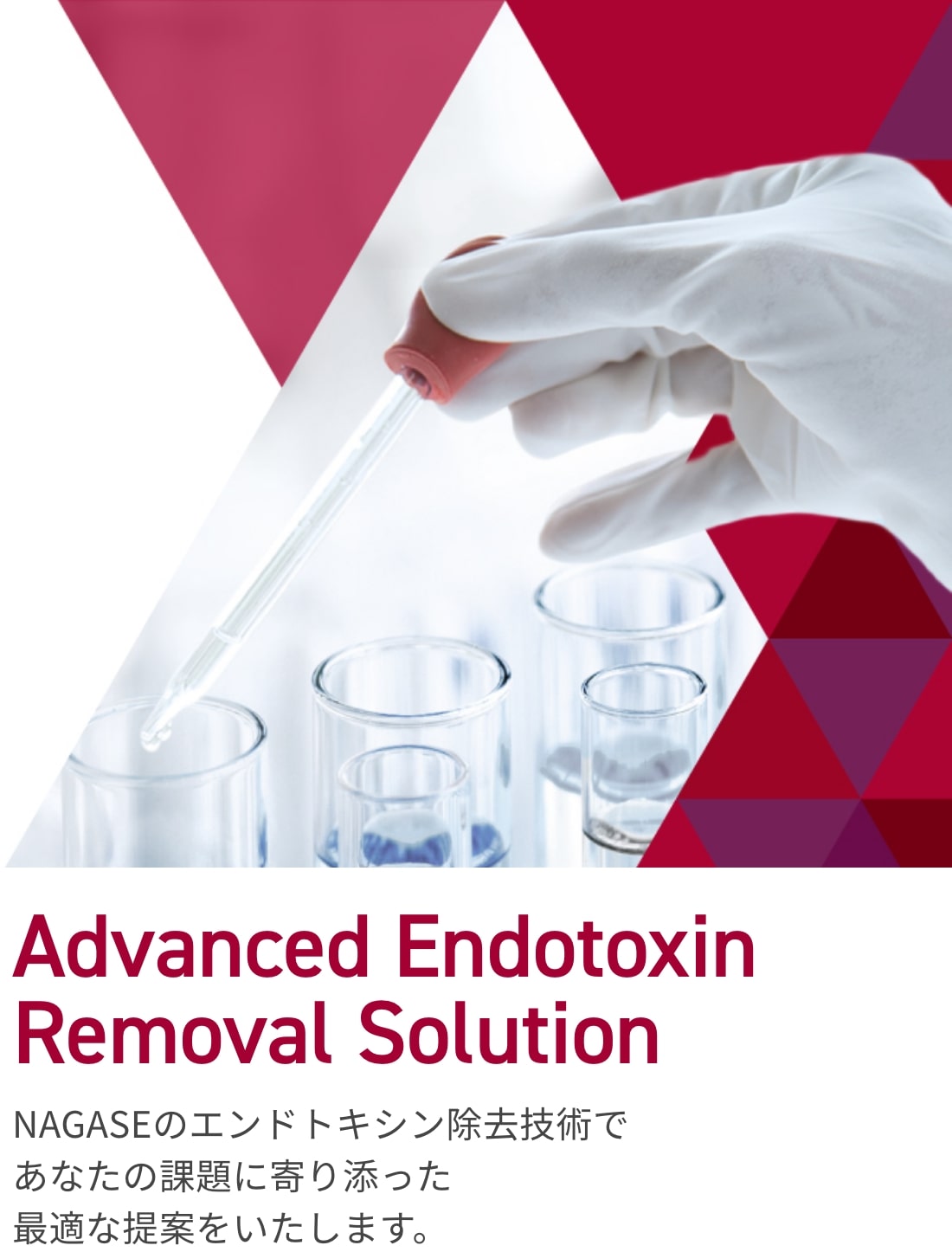 Your New Partner for Endotoxin Control