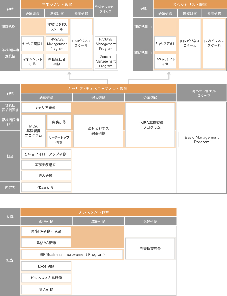 人財開発体系図